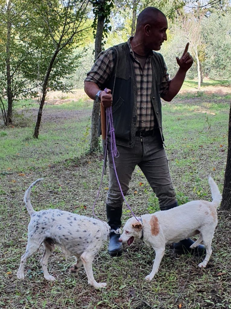 Matteo took us to the woods with his dogs